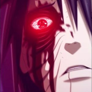 Meet your Posher, Dakota